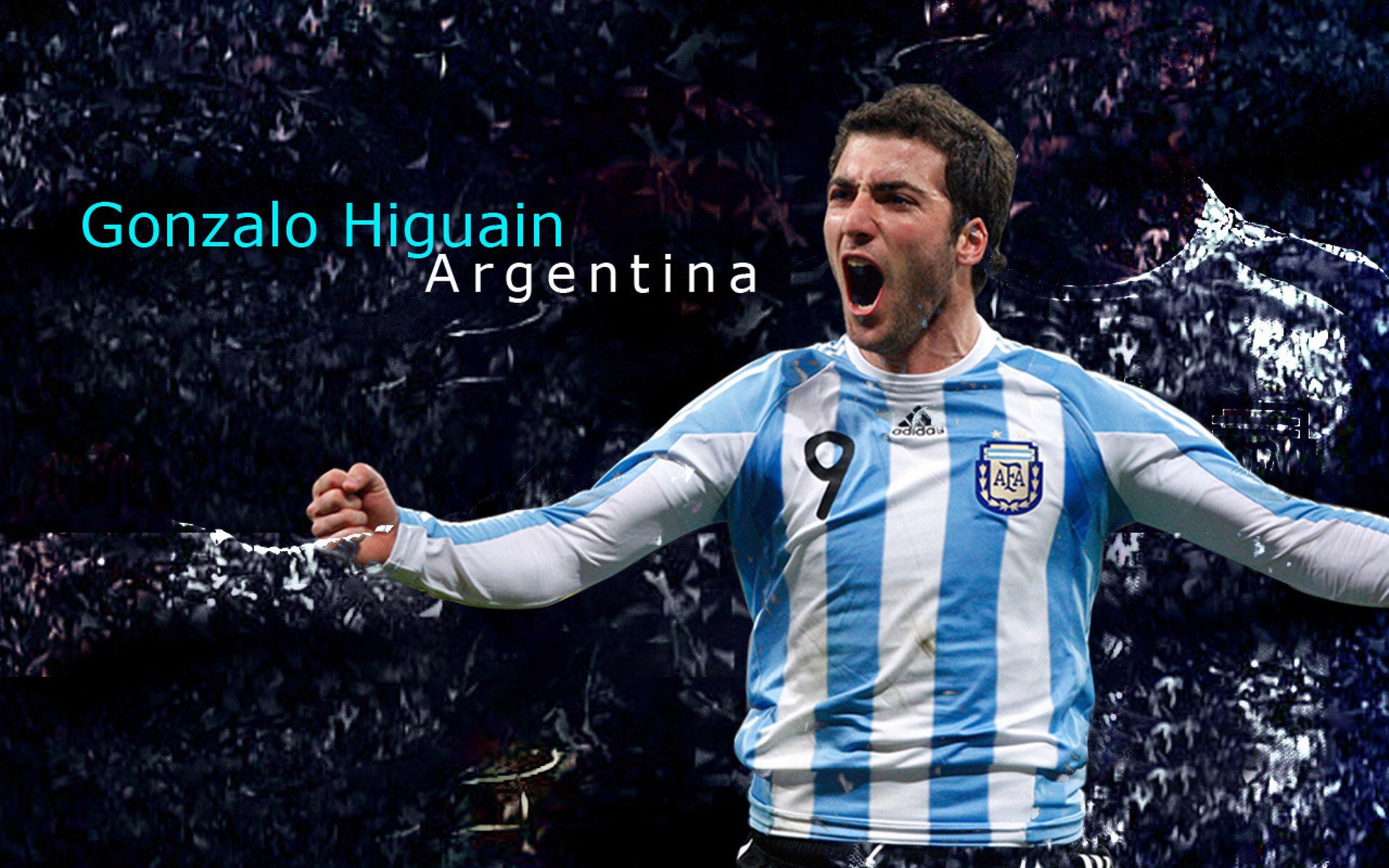 游泳选手数量虽少，但技术集中度高，游泳选手名单